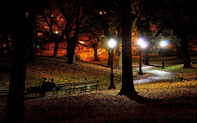 Central Park, New York at night.