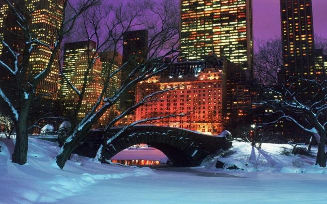 Central Park, New York City in Winter.